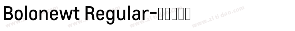 Bolonewt Regular字体转换